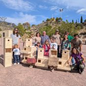 grupo voluntarios cajas nido